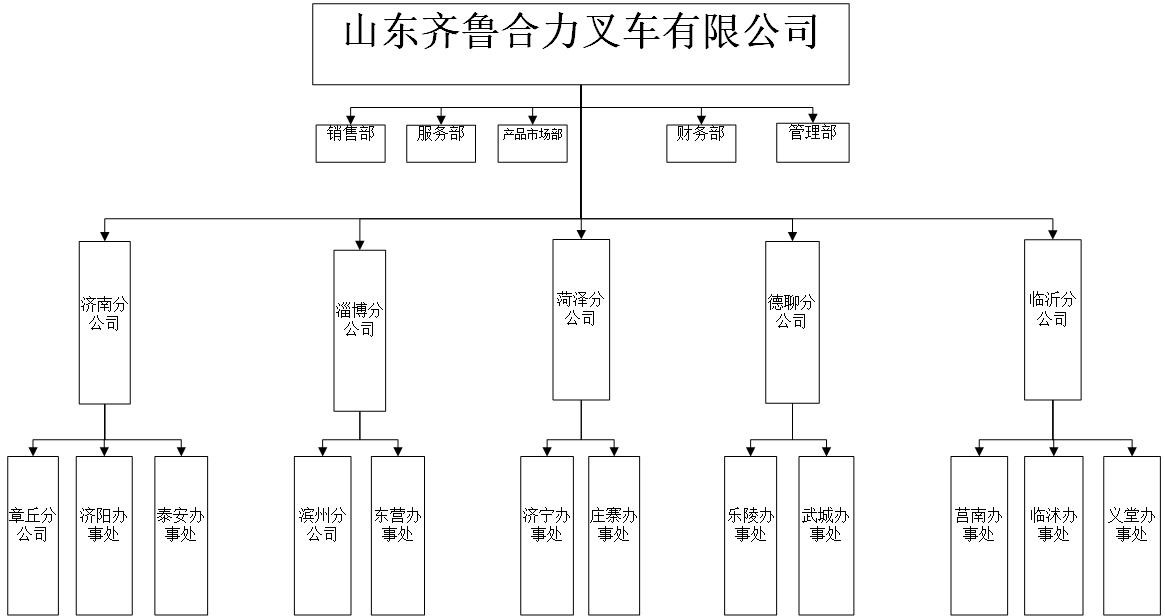 齐鲁Z6官网组织机构图.jpg